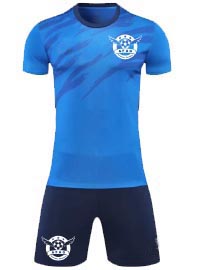 SOCCER TRAINING Hills District Sydney